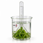 Kit for Demonstration of Aquatic Plant Respiration
